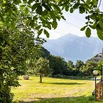 Panoramic