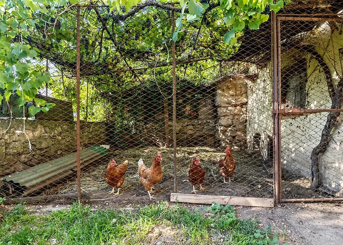 Διαμέρισμα Panoramic *